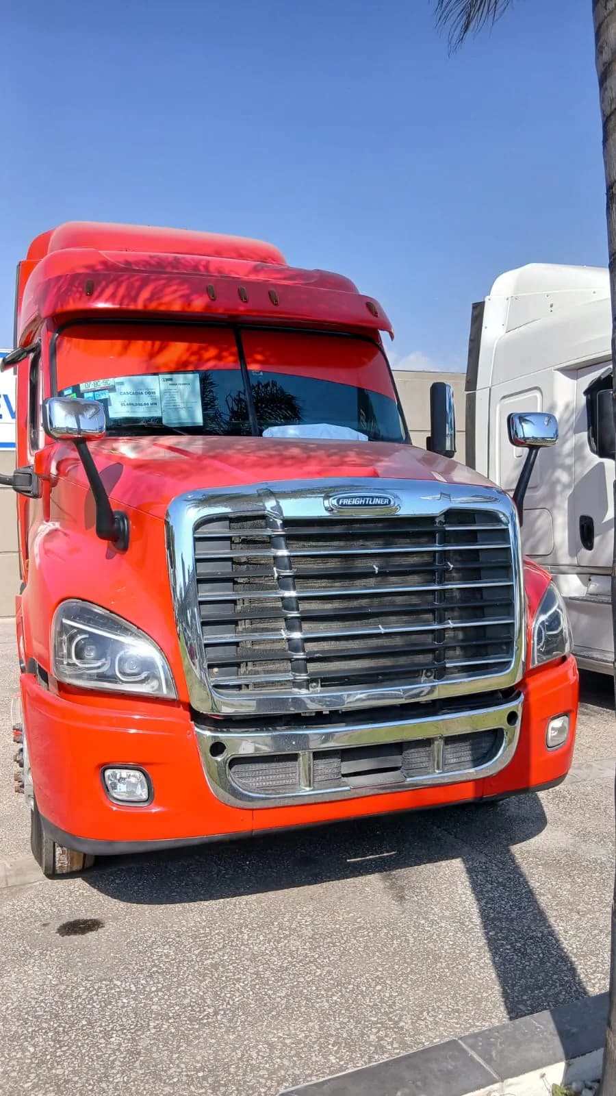 2020 Freightliner Cascadia Tractocamión 5ta rueda publicado en Expocamión — foto 12 de 12